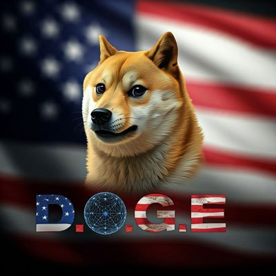 yiyun_dan1's tweet photo. #SOL 链上热点叙事（1）11.13
1. $DOGE @gov_dogesolana
特朗普正式任命马斯克和维维克·拉马斯瓦米共同领导政府效率部（简称DOGE） 25.4M（图1）
9TY6DUg1VSssYH5tFE95qoq5hnAGFak4w3cn72sJNCoV

2. $Jorgie
网红猴子被警察带走 4.3M（图2）
AMgMqadZ7Qpe9PCQwehAG3Xbg5cf8JxCxH7sGCSupump

3. $DJPUMP @djpumpsol
推特金标美国政府保守党附属账号发的币 3.5M（图3）
36CdR7EzFZgu4aEswP6xJy11x3y4sKN62Fc84CGdpump

4. $MOMO @MomoDogSOL
Cheems主人刚刚养的一只新狗，名字叫 Momo 2.3M（图4）
5BKw97mLkc3HyZY88ZjigiXbaqiGFzDbHHQCdCGpump

5. #Ropirito @ropirito
人工智能开发者，推出了Ai机器人@ropirito 1.7M（图5）
CtaVq7fp5xwYFenGQypqdK97LJhTD72GgRsY8e4Npump

6. $SBR @sbronsol
Strategic Bitcoin Reserve，美国比特币战略储备法案 1.2M（图6）
2HHgCLfKA5Rd1Fn9xAxfYzS3XoR5NnuxKDYz2EmWpump

7. $BLUE
BLUECHIP，加密货币中的蓝筹股 1.2M（图7）
2LdDBsMFiCxPurE2oduUKYNNPHsAuUKyx1Wp5coXpump

8. $Eyare @EyareSolana
卡尔加里动物园两岁大猩猩意外死亡 949K（图8）
G5V5hN3rvXYEJsMdroG1CMCzZM3BmtH3BueNFTgDpump

全网最快扫链-闪电交易
Photon（光子）：https://t.co/FmwWwdi9o5

手机APP交易，快人一步
Dexx入口：https://t.co/YBfl6xP8Sq