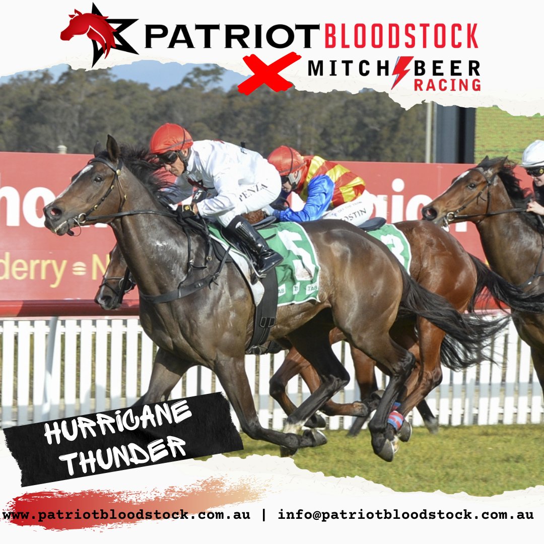 Patriot Bloodstock tweet media