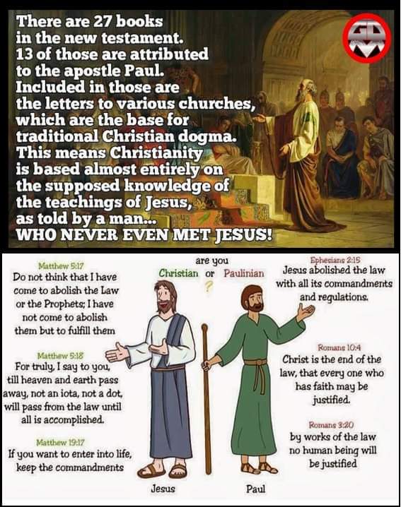 🇺🇸Nice Cuddly Bunny🇺🇦🐰 tweet media