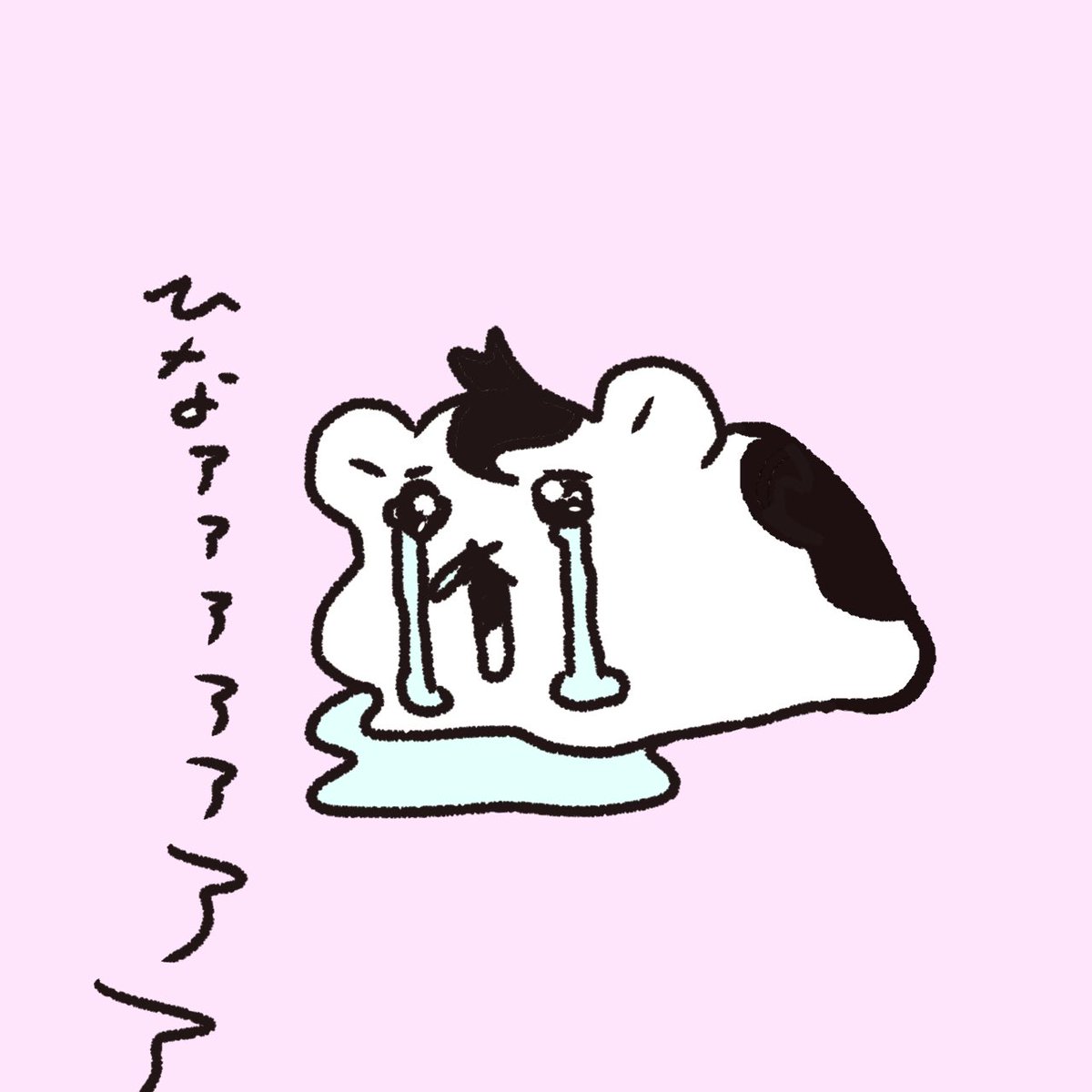 ぼちもる tweet media