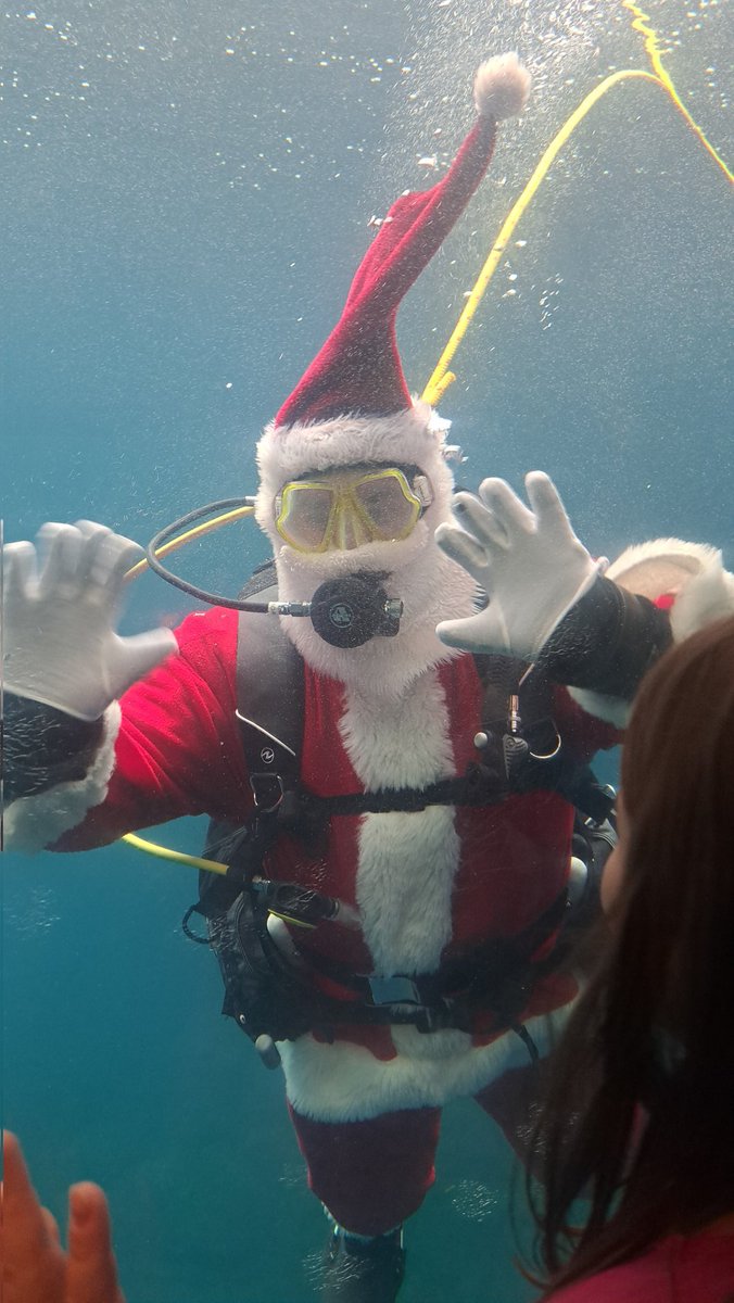 who9712101's tweet photo. #水族館 に行ってきた。
今日から #holidaysplash っていうクリスマスイベントが始まり、スキューバクローズさんが水槽泳いでた。
って、魚の写真が一枚もないことに、今気がついた。
#ポンコツ母ちゃん https://t.co/chfgv9X3wS