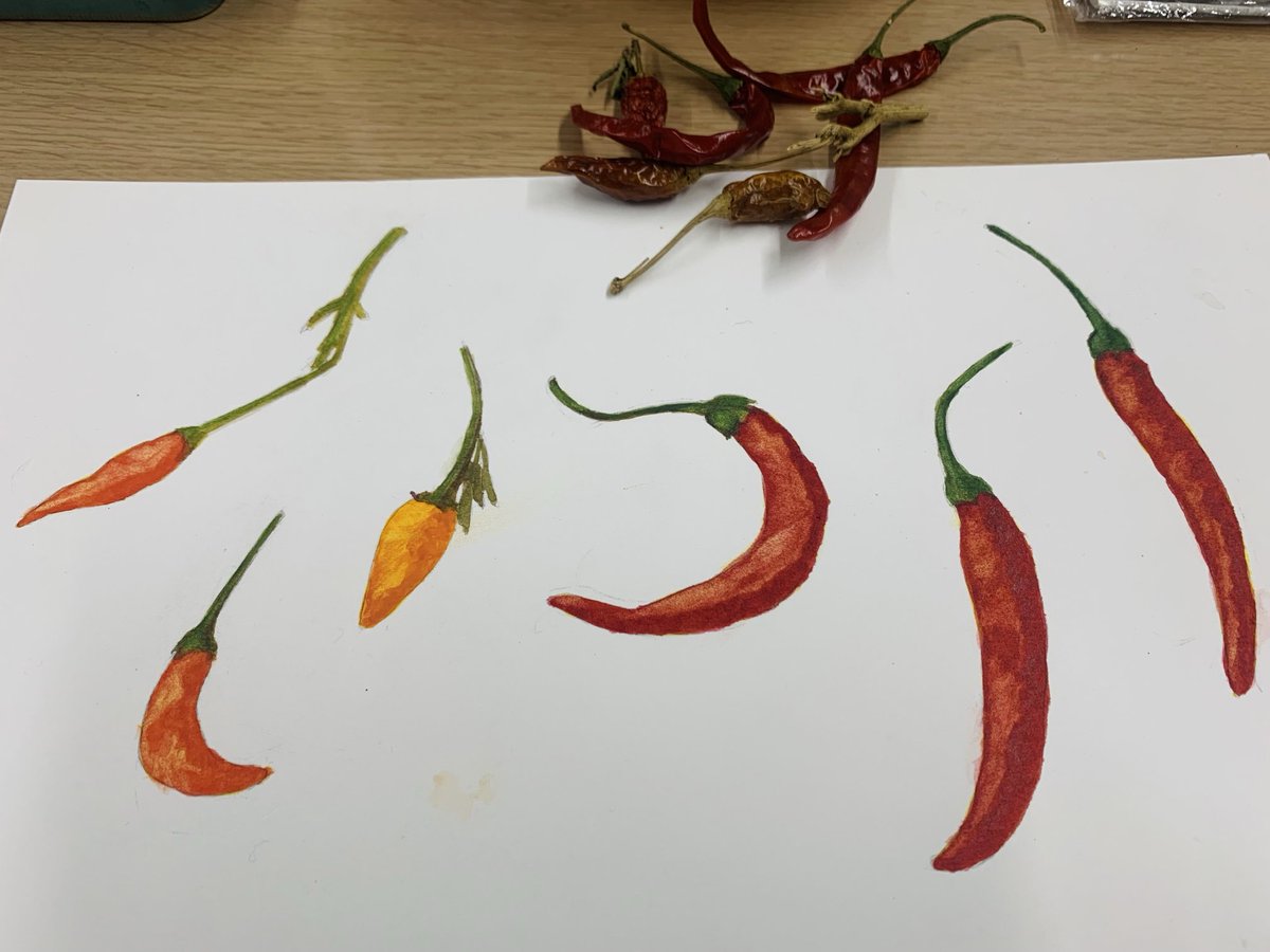 Post by JR.yoshi on X: 唐辛子