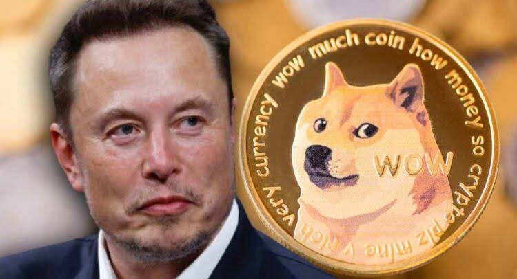 USDogeX's tweet photo. usd much coin

very currency https://t.co/ki2cVyEAhr