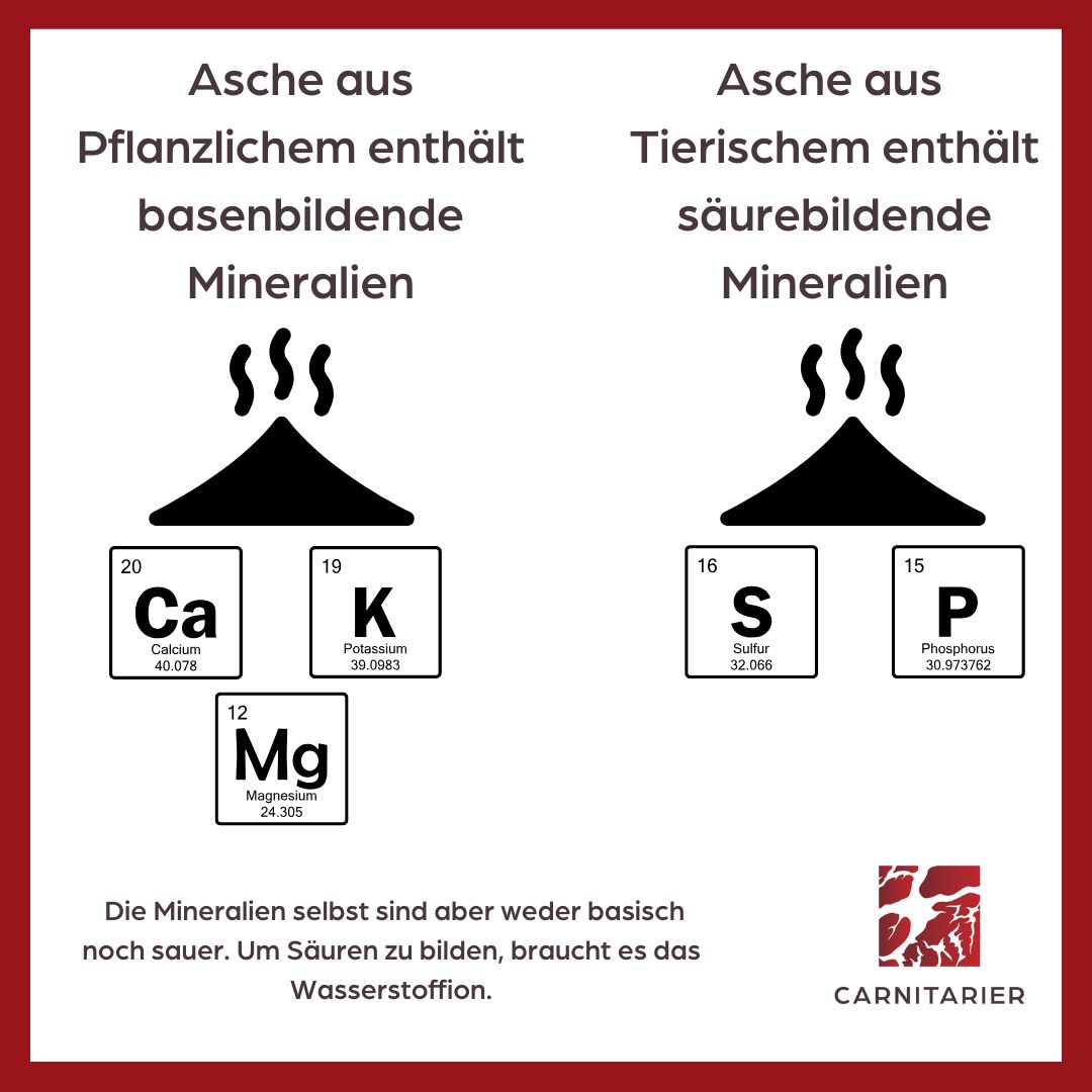 carnitarierin's tweet photo. Basische Ernährung - Carnivore Ernährung - Carnivore Diät - Informationen #carnitarier #carnivoreernährung #basischeernährung #säurebasentheorie #mythos #fleischsauer https://t.co/8aiBXOXLHy