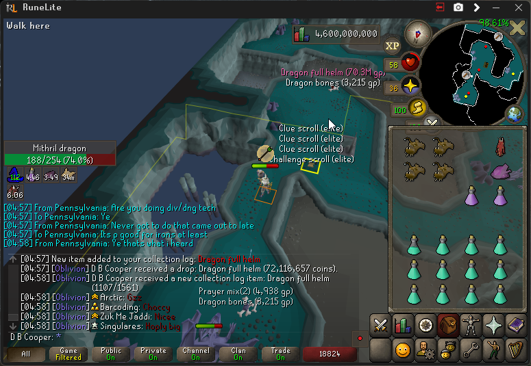 Dragon Full Helm
12k~ mith drags
270~ chewed bones