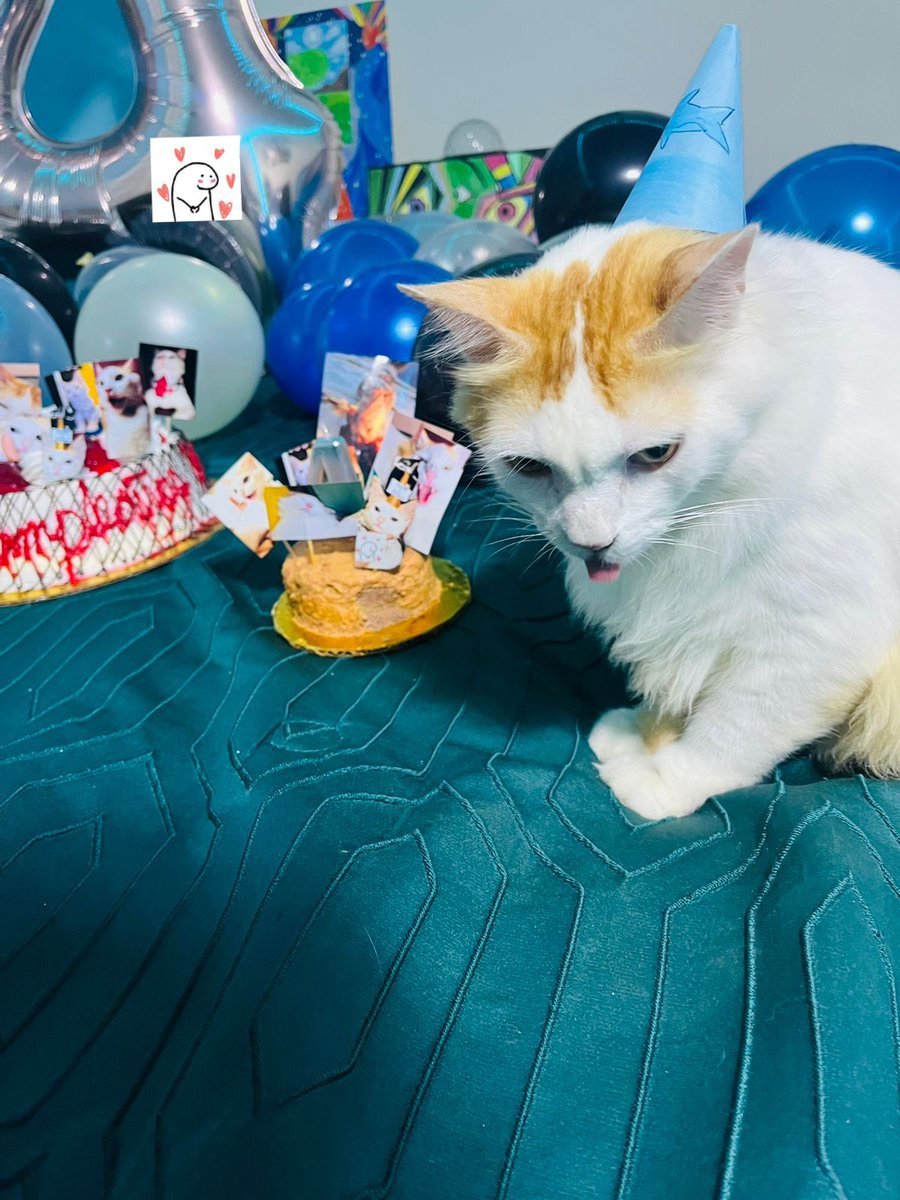 luuri⋆ tweet media