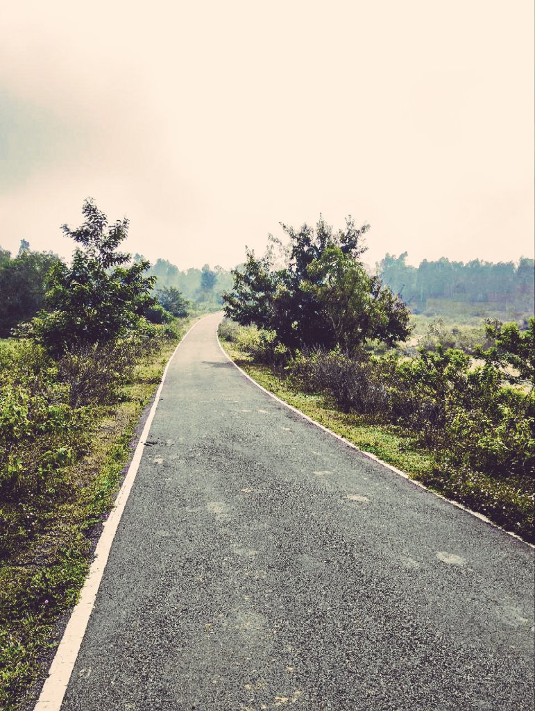 The road hums a quiet song,
Leading where words cannot reach.