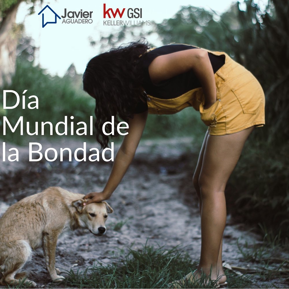 Día Mundial de la Bondad
El 13 de noviembre se celebra el Día Mundial de la Bondad o World Kindness Day, por iniciativa de la World Kindness Movement (WKM) que lo proclamó en el año 1998.