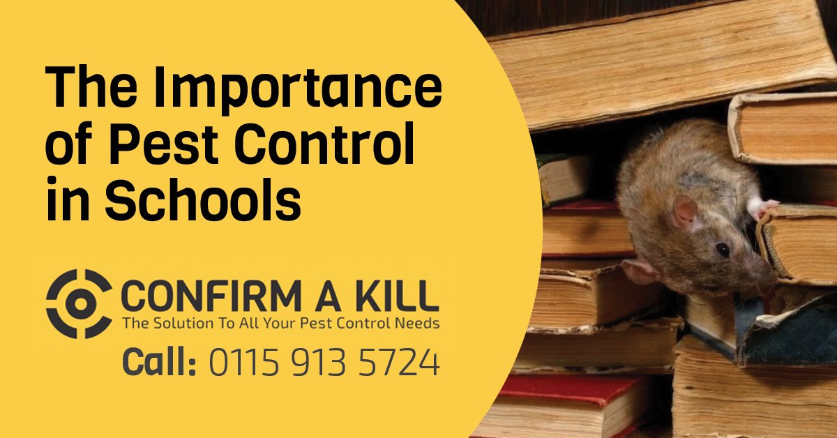 ConfirmAKill's tweet photo. Maintaining a safe and healthy school environment is essential for student wellbeing and academic success.

Our latest blog explores what can be done in the education system to ensure schools remain pest-free: https://t.co/Glw8i5KIMz

#PestControl #Nottingham #Education #Pest https://t.co/qs6BmflOZ1