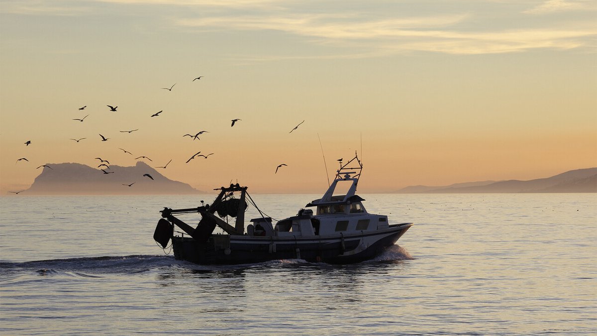 EuropecheOrg's tweet photo. 📢 @EU_Social Partners issue urgent call to protect Mediterranean coastal fishing communities @ETF_Europe @copacogecaFISH 

📌Press article https://t.co/VmNef0WTl0

📃Resolution https://t.co/VnazbKn0ix https://t.co/eNy1bngAe2