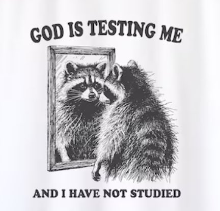 raccoonesthetic's tweet photo. https://t.co/PyVvdZcfRx