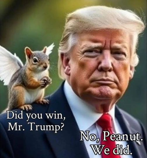 RickyDoggin's tweet photo. https://t.co/NoCz2hjdy0