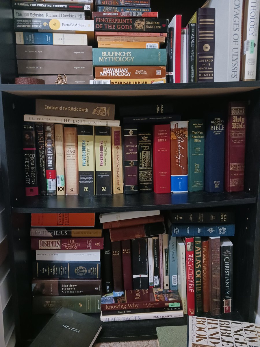 🇺🇸Nice Cuddly Bunny🇺🇦🐰 tweet media