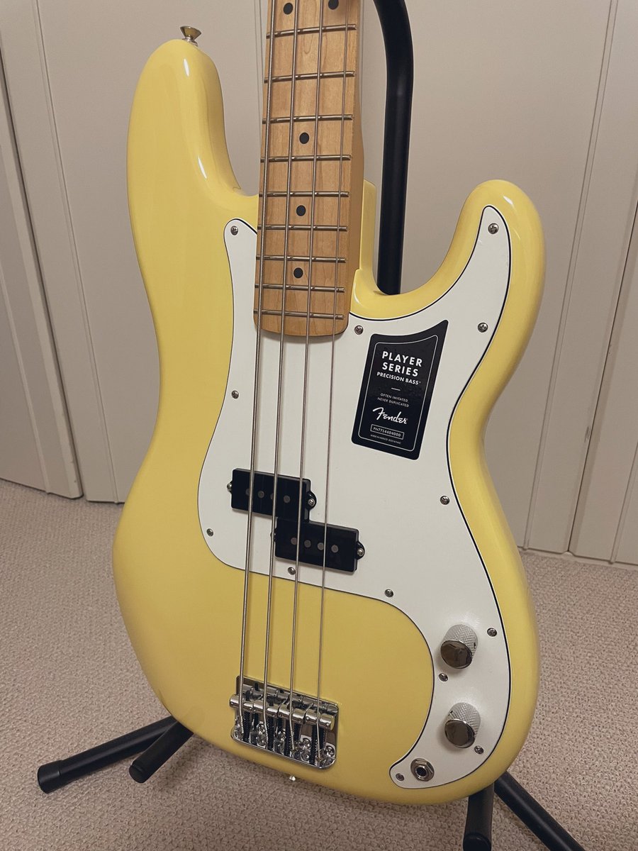 ギヴン良すぎて鹿島柊みたいなFenderのプレシジョンベース買っちゃった