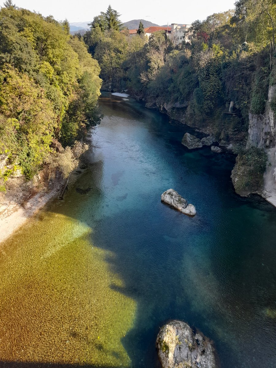 Francesco (@frances10419470) on Twitter photo 