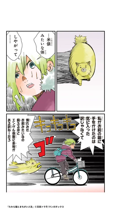 一人さみしい帰り道に出会ったのは、ふくよかなたわら猫だった

『たわら猫とまちがい人生』(6/6)

#漫画がよめるハッシュタグ #PR

▼続きはコチラ
https://t.co/ct6imDJOC3 