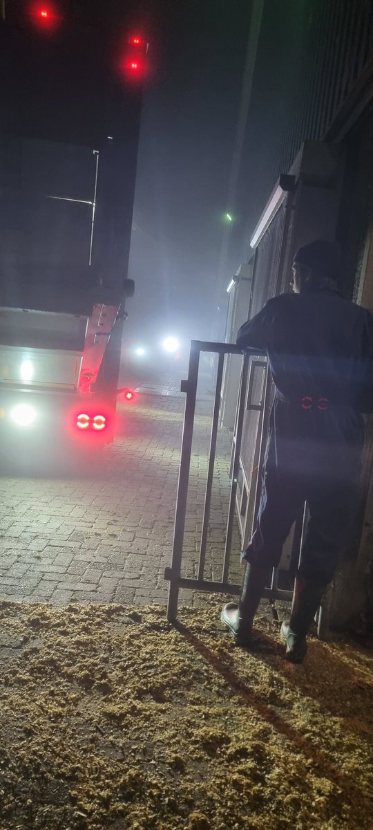 smit_evelien's tweet image. Nachtwerk..

#kalverhouderij #zoon