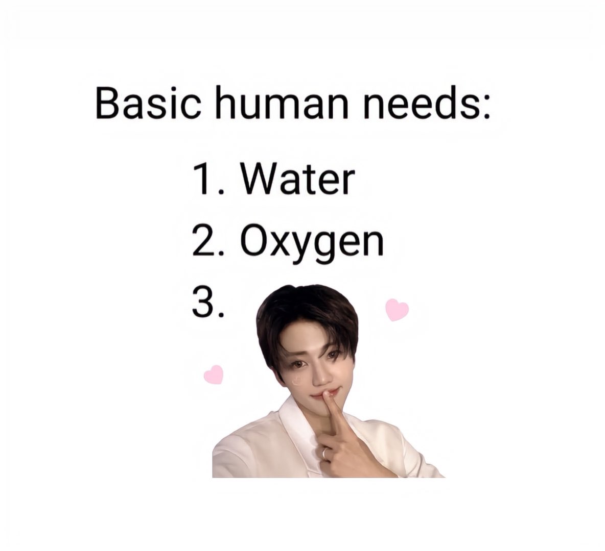 basic human needs :  ꪔ̤̮❤︎