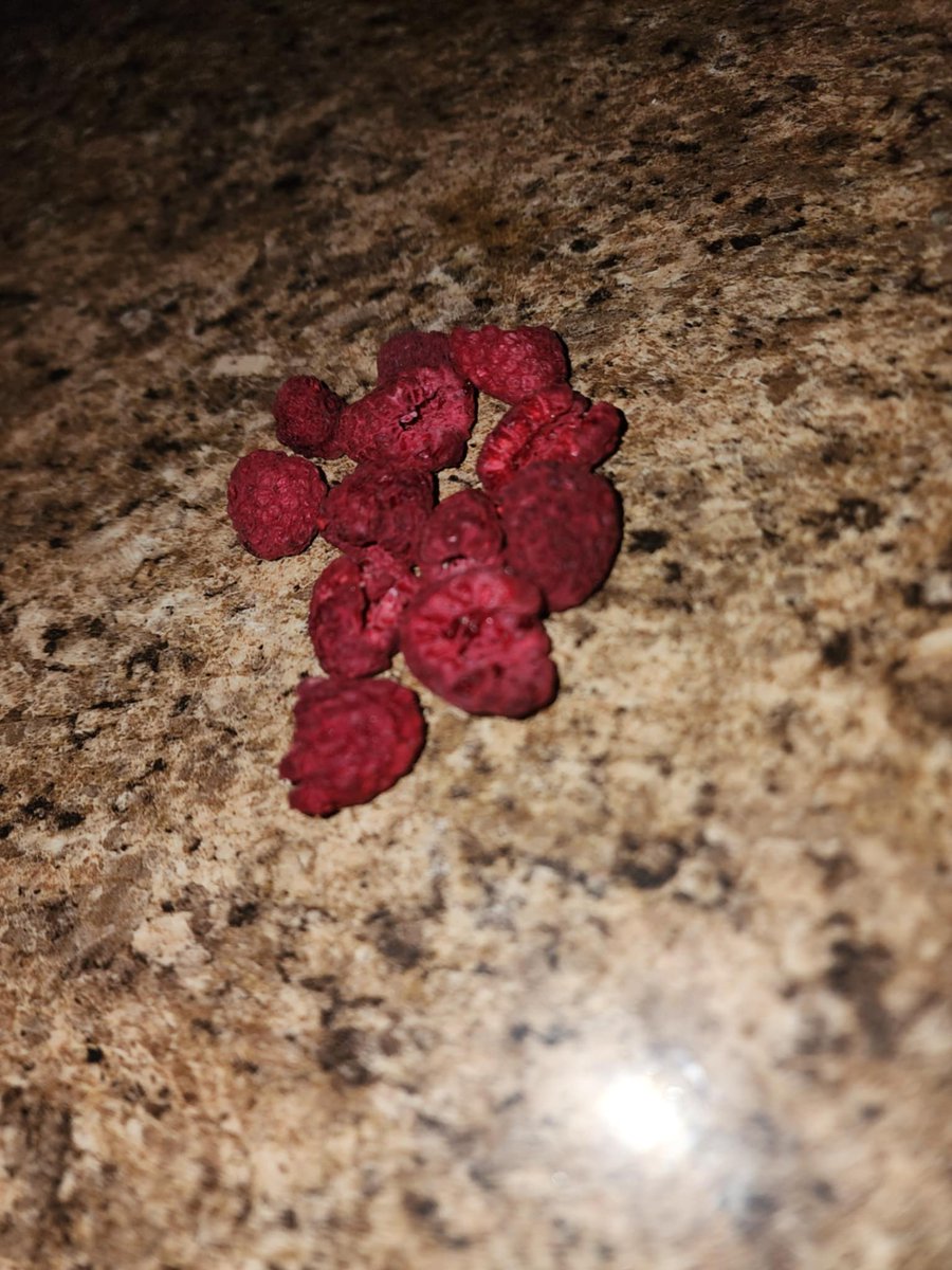 Freeze dryers are great for prepping

Maintains 97% of nutritional content &amp; and freeze dried foods can last up to 25years

Wild mushrooms maintain their distinct flavors &amp; freeze dried berries taste like candy❤️