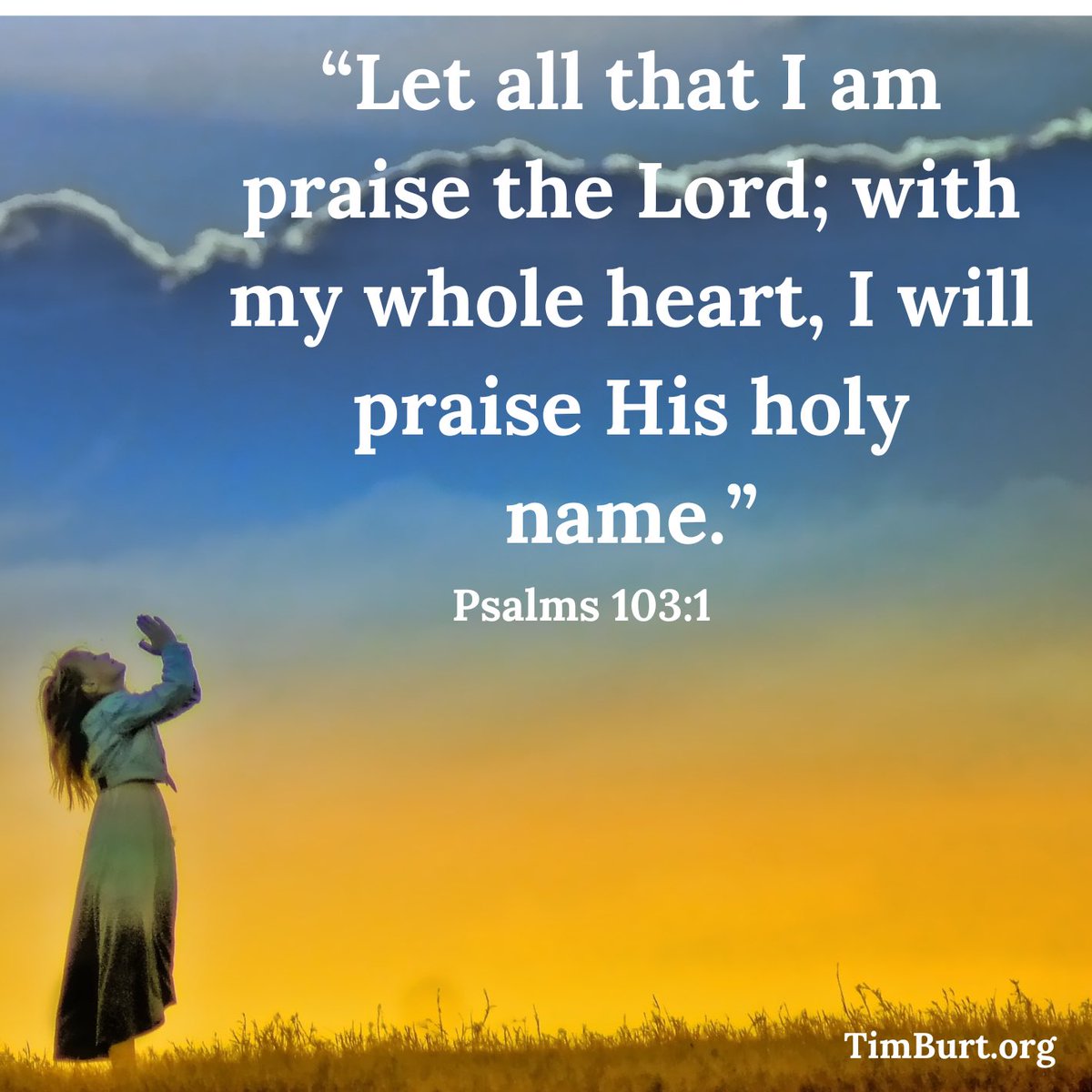 Timothy Burt (@timburt) on Twitter photo 