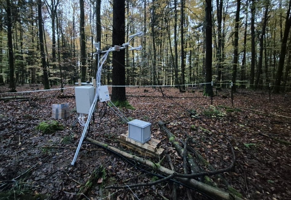 HojinLEE (@hojinleee) on Twitter photo Final test of the REA system on grassland was successful! It could capture VOC emissions from the surface. Nextstep is VOC fluxes on the forest floor! #ECOSENSE <a href="/c_werner/">C Werner Lab</a> <a href="/UniFreiburg/">Universität Freiburg</a> Final test of the REA system on grassland was successful! It could capture VOC emissions from the surface. Nextstep is VOC fluxes on the forest floor! #ECOSENSE <a href="/c_werner/">C Werner Lab</a> <a href="/UniFreiburg/">Universität Freiburg</a>