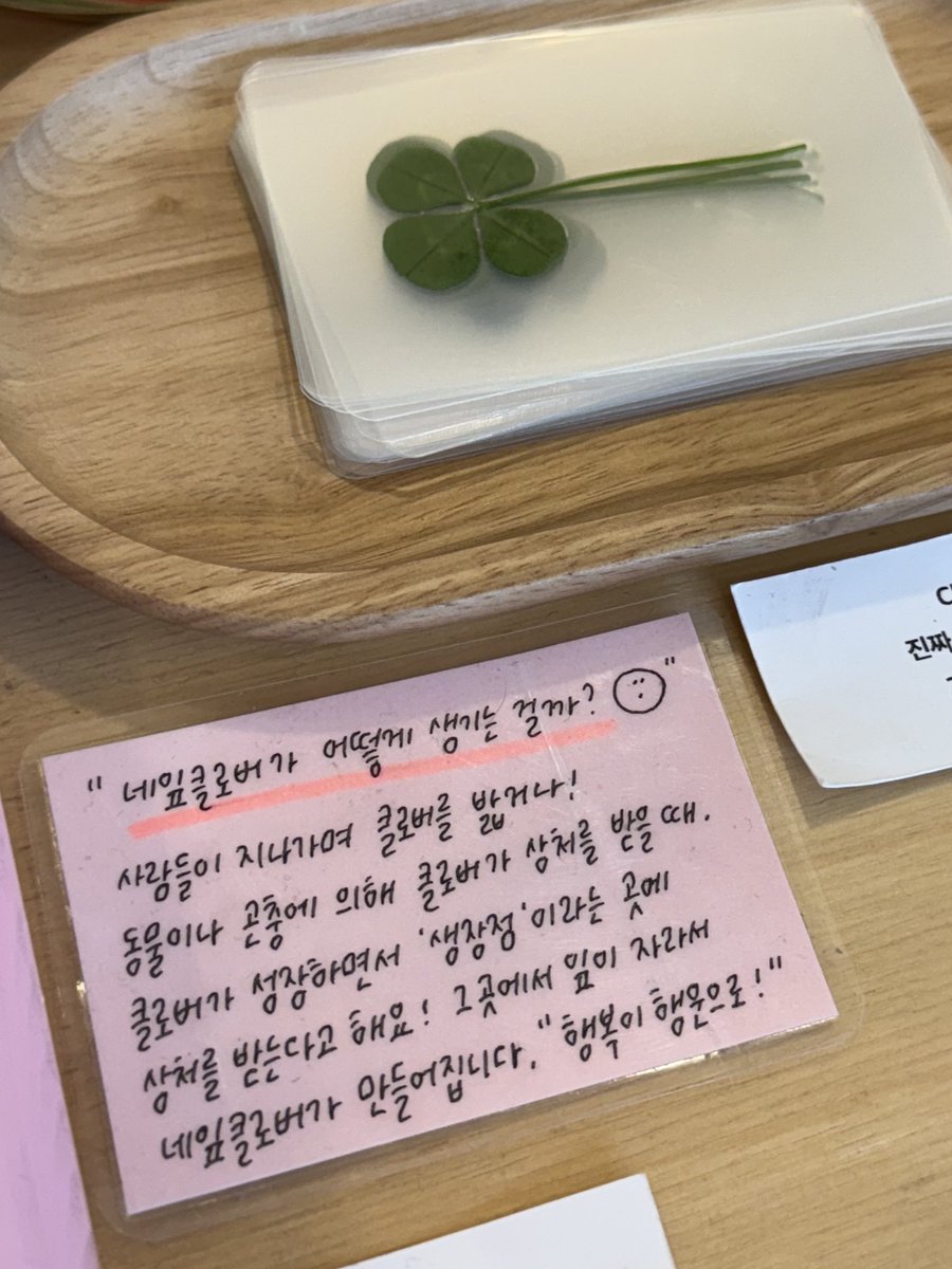 내일 시험을 위해 열심히 준비한 모두에게 행운이 함께 하기를🍀 몰라서 찍은 문제도 다 맞기를!.ᐟ
