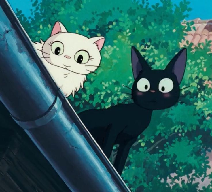 anime_'s tweet photo. Same energy https://t.co/dZZz56NKzz