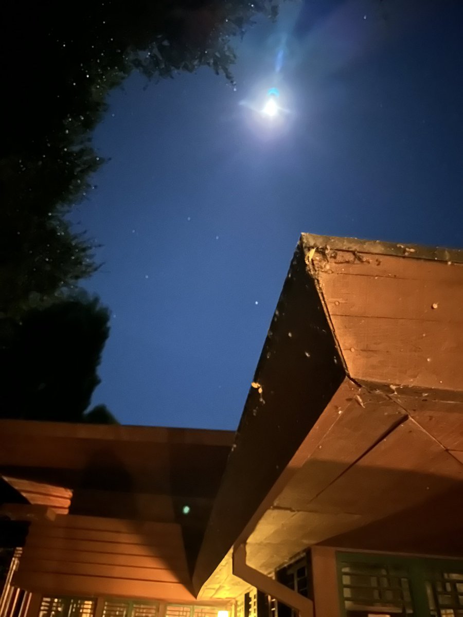 T.C. Boyle tweet media