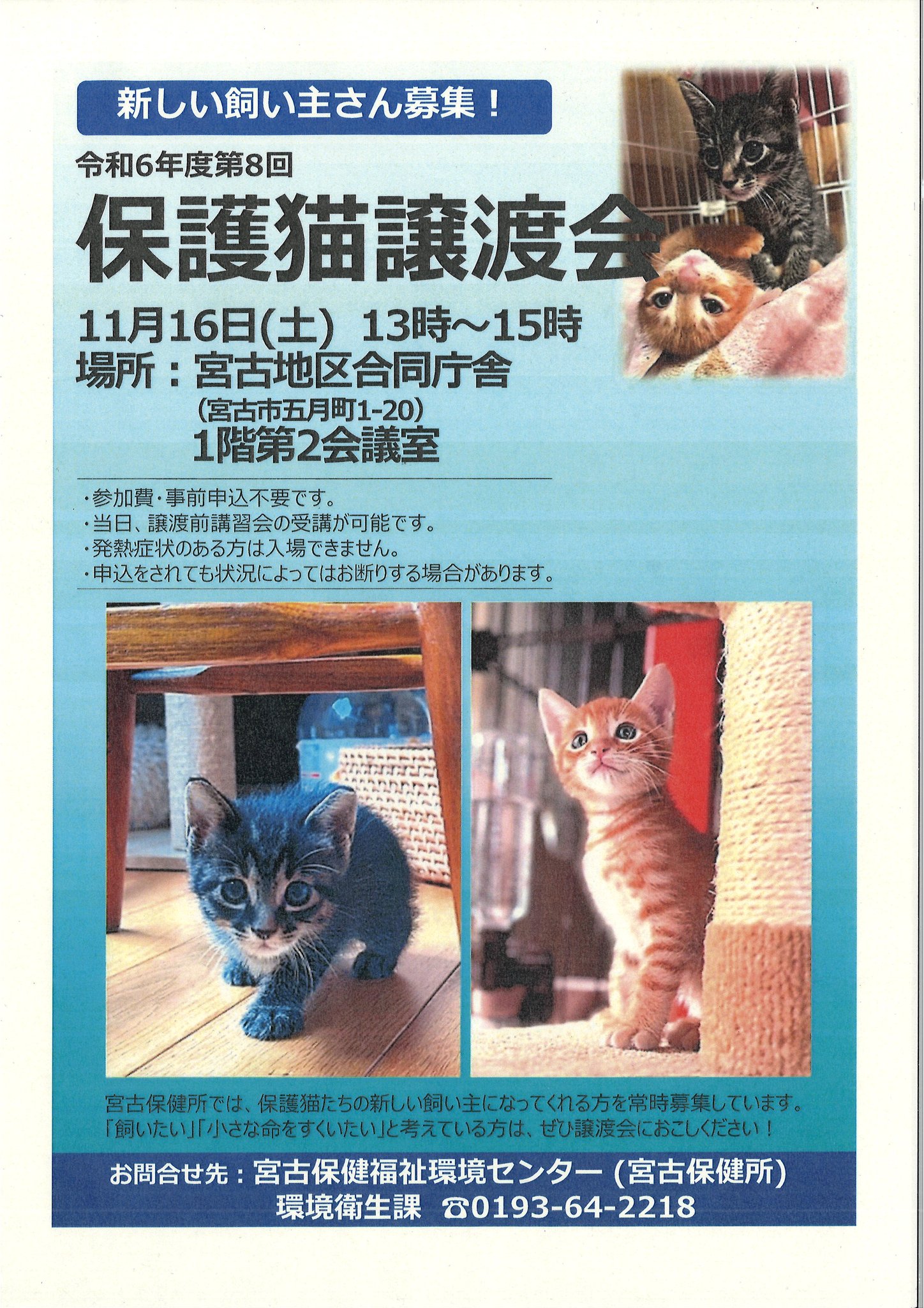 新しい飼い主さん募集してます