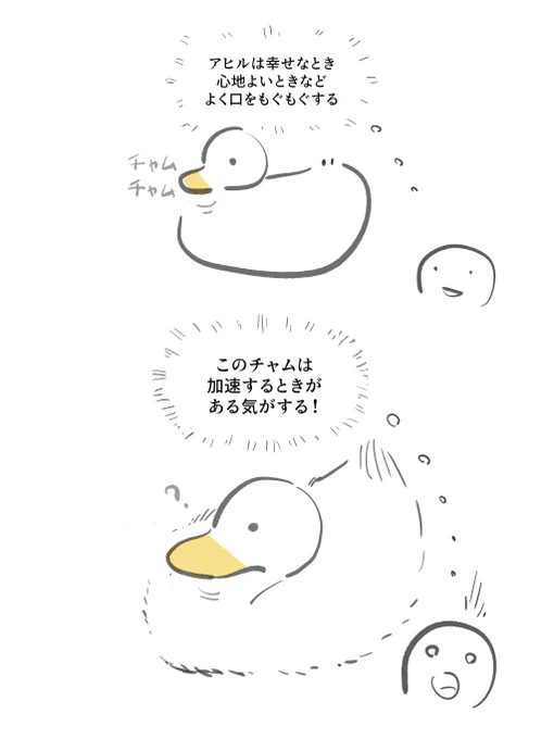 アヒル研究(1/2) 