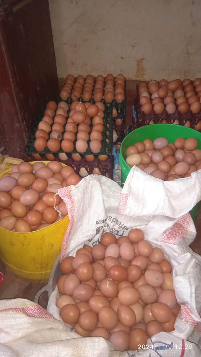 Maryaellie's tweet photo. I'm selling eggs @ 400/= per tray. 
Location: Kamakis, Ruiru.
Dm if interested😊 https://t.co/jXRJAcihSu