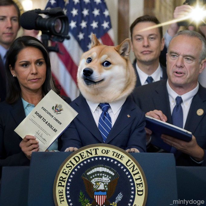 Strategic Doge Reserve tweet media