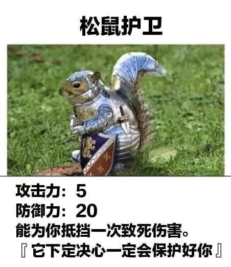 0xXiaoji's tweet photo. 松鼠护卫，持币第一的老哥很有格局，在腰斩后把所有的币加入了流动池，我也加了。
CA：3rf9VXujkifxQLmdPVQ3hPJaZgW9hZugKVcGVhyppump https://t.co/X0yVPZYzyx