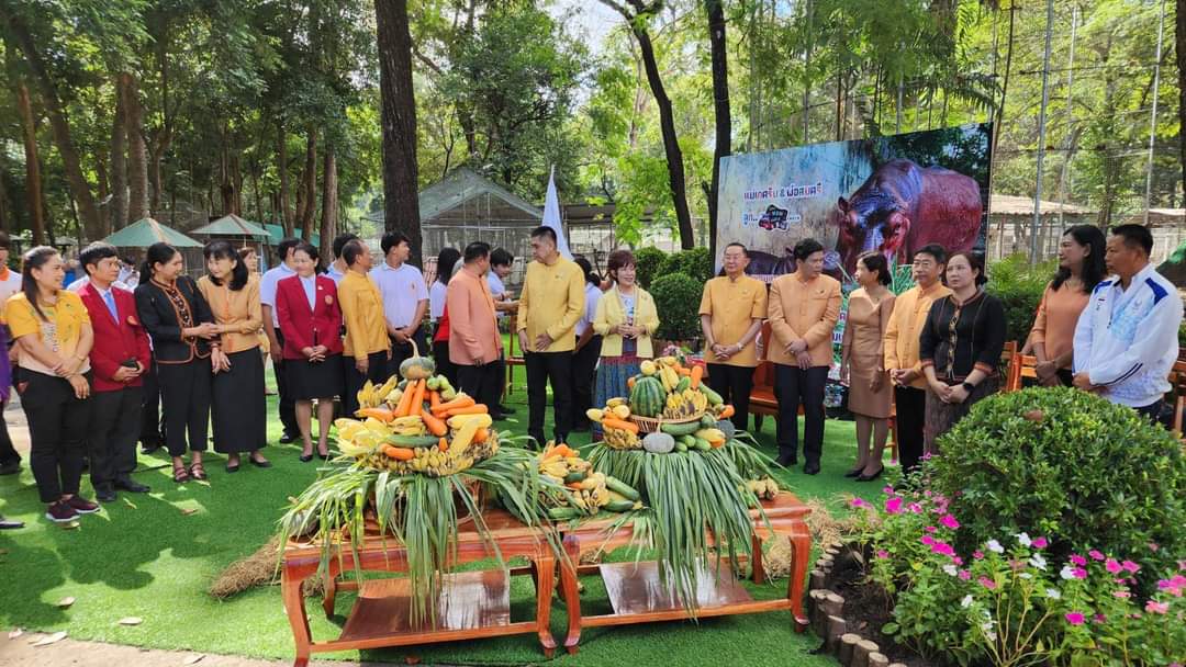 KhaosodEnglish's tweet image. (1/3) Princess Srinagarindra Garden Sisaket and Sisaket Agricultural and Technology College celebrated the one-month birthday of Hom Daeng (meaning "Shallot"), a female baby hippopotamus. 
#onemonthold #hippopotamus #Sisaket #thailand