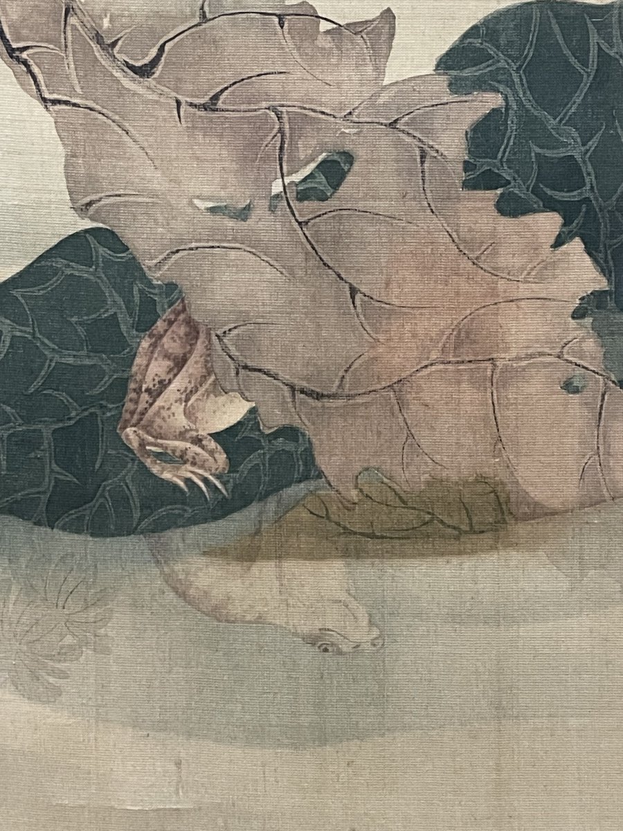 蓮の葉脈や蛙の皮膚の艶まで克明に描く写実表現が展開される《蓮蛙図
