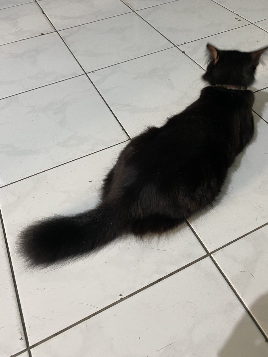 Dudidam | Aralus Studio tweet media