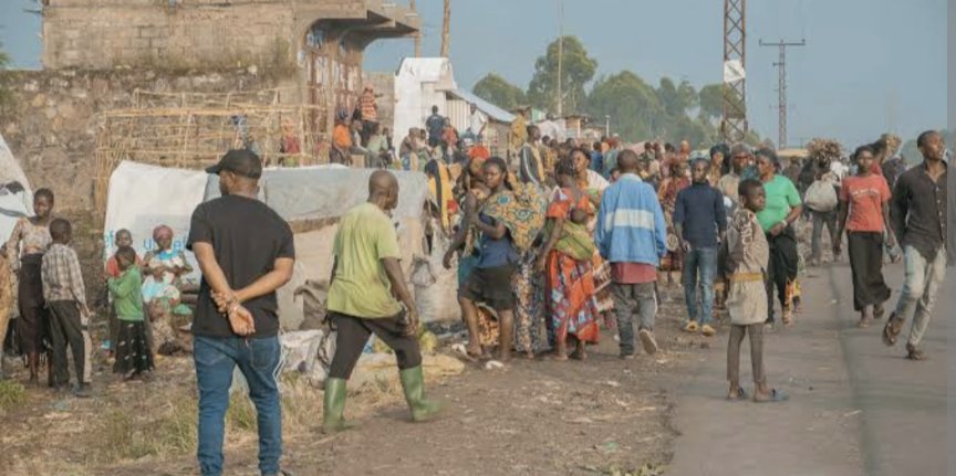 VolcansLes's tweet photo. #flash: Une embuscade accordée au M23 a fait au moins quatre civils tués et trois survivants le lundi 10 novembre à #Kimoka, au nord de Sake, dans le groupement #Kamuronza, territoire de #Masisi (Nord-Kivu).

L'attaque s’est déroulée à « Bideyi », où de nombreux habitants de Sake et de #Kimoka cultivent leurs champs. 

Les victimes  avaient quitté les sites de déplacés de #Mugunga pour acheter des cannes à sucre avant de tomber dans cette embuscade.