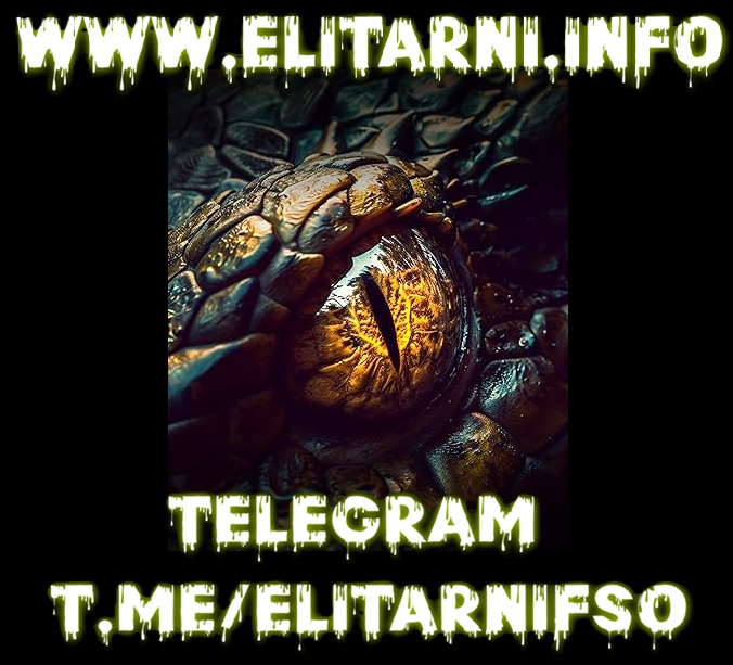 ElitarniINFO's tweet photo. Oficjalny kanał Elitarni🔥Teorie spiskowe i informacje ze świata. 
Mistrz Foliarstwa 777 
Link do zaproszenia https://t.co/HQpwP54wJk https://t.co/UGo6QYzAV2