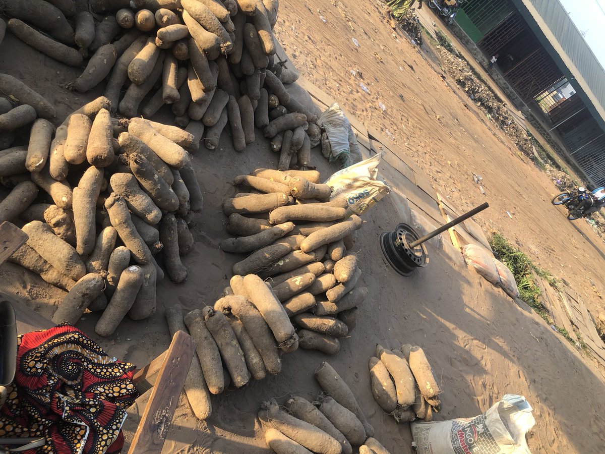Wankwase_'s tweet photo. ☺️Good Morning Benue yam lovers 
Our sweet fresh Benue yam is Here🥳

18k plus delivery for 10 medium mixed small with sized 

24k plus delivery for Big mixed with medium -10tubers 

PLEASE SHARE AND REPOST
DELIVERY WIHIN 72hrs. https://t.co/sBzKKSNmoV