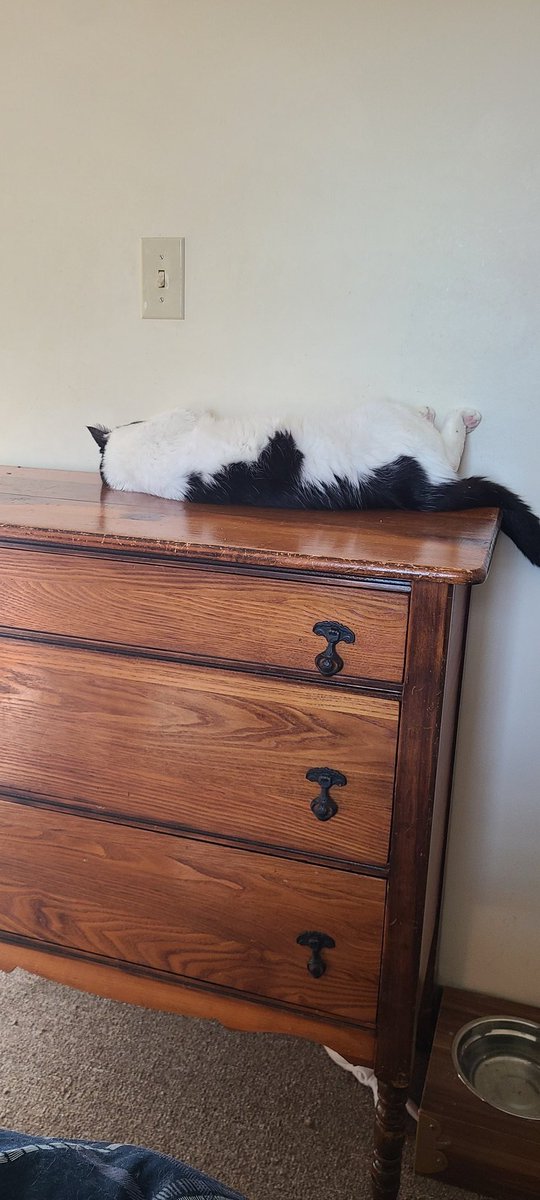 KeithRetrogeek's tweet image. My wife and I, our heartbroken, Today. We had to say goodbye to our 11 year old Fur Babie today. I'm sorry, Phil, our baby boy mom and Dad tried our best. We hope you knew you were loved. mommy and Daddy and your sister Lil loved you very much. 💔