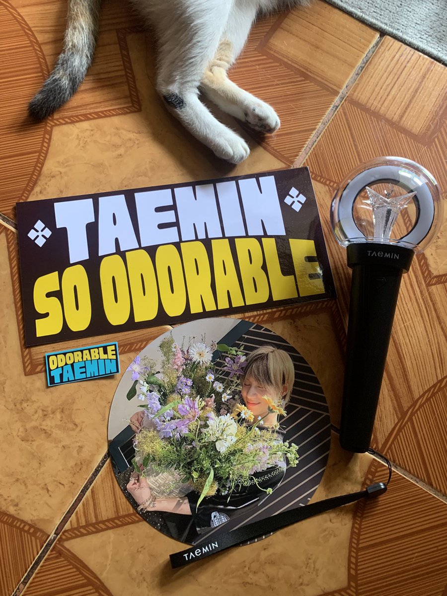 _lucKEYcharms's tweet photo. TAEMIN Ephemeral Gaze in Manila Fan Support ✨

I will be giving out limited pretty Taem round fans and odorable stickers on concert day! 🖤 See you all on Nov 24!🤍

#Ephemeral_Gaze_MNL https://t.co/O2wS6WvCpP
