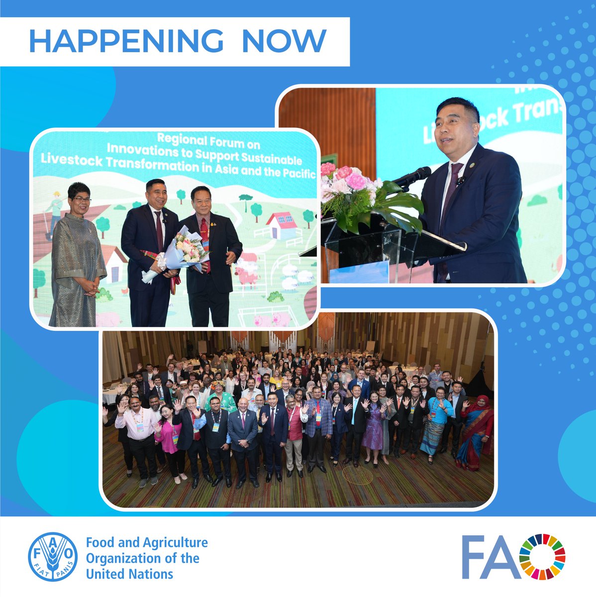 FAO Asia Pacific tweet media