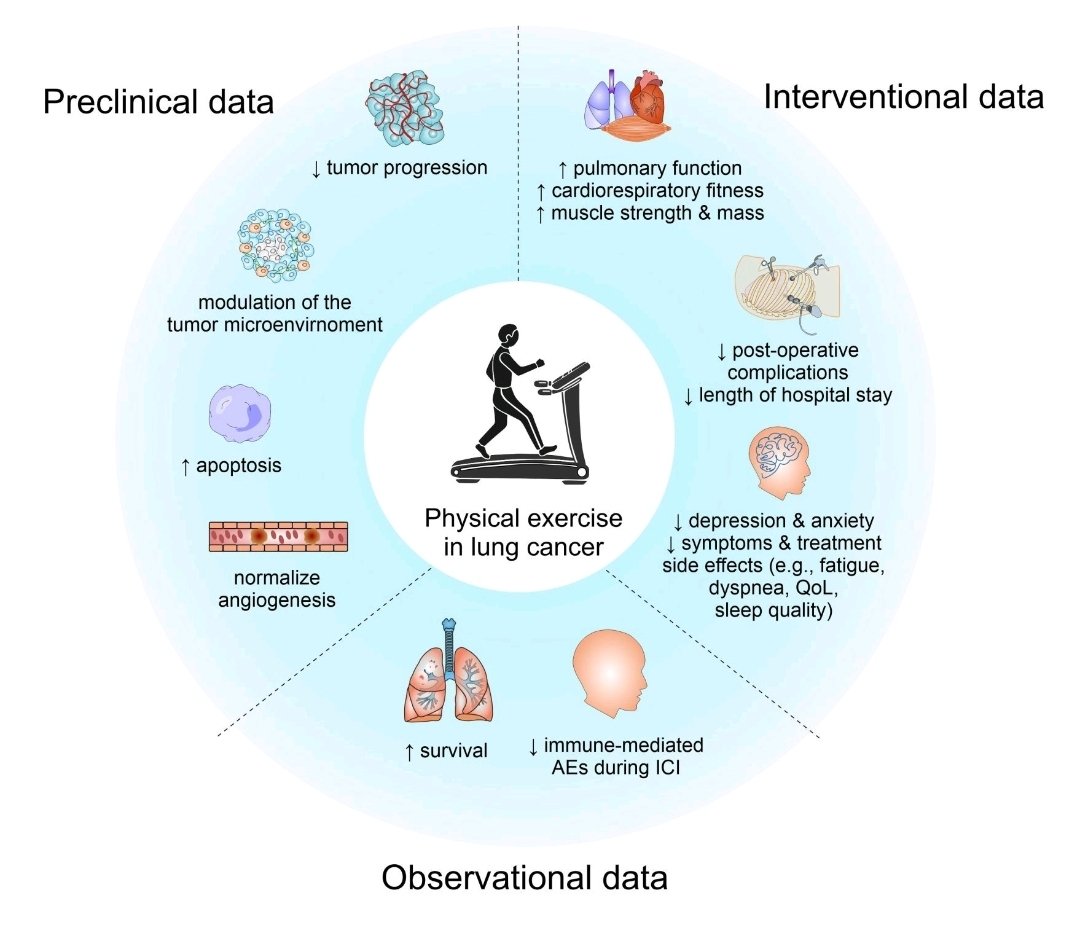 Starlight_study's tweet image. What is the rationale behind the #STARLighT study?
💡Our #researchgroup has published a #commentary supporting the #mechanisms by which #physical #exercise 🚴♀️ might improve the response to #neoadjuvant treatment 💊 in lung cancer!!!!
@AvanciniAlice
@sara_pilotto
@lorenzobellu