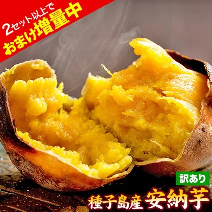 otasuke_1234's tweet photo. ＼販売販売解禁⭐最安値に挑戦中！／
／　11/13 は い い 焼 き 芋 の 日　＼

種子島産 訳あり 安納芋 1.5kg 

今なら1,555円
さらに送料無料✨

https://t.co/eQshlZT751

甘さを極限まで引き出す長期熟成　訳ありだけど味は抜群‼️ https://t.co/DZJiVZPhrF