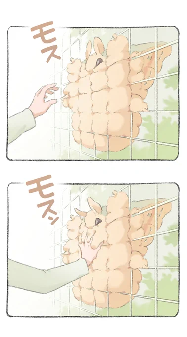 金網からはみ出るモス 