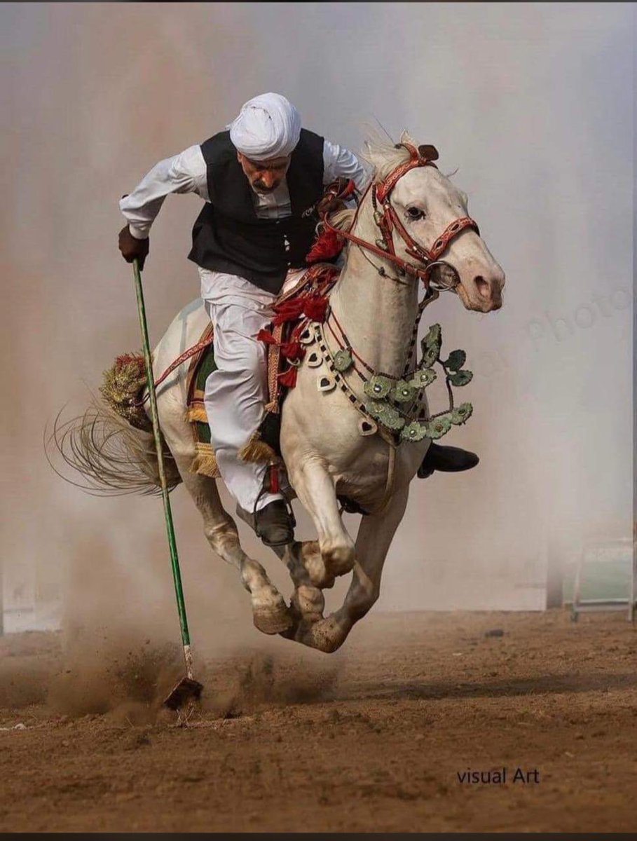 Dr_Naif777's tweet photo. پیارے پاکستانی بھائیو:

پاکستان میں اس کھیل کا کیا نام ہے 👇
اور پاکستان کا کون سا علاقہ اس کھیل کے لیے مشہور ہے؟ https://t.co/ClXiJ3XEcD