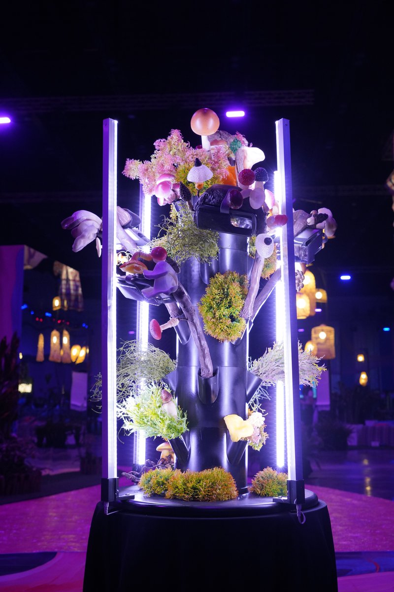 reality design lab tweet media