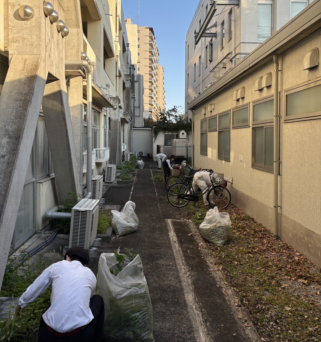 TGHospital's tweet photo. こんにちは、総合東京病院です。
毎週水曜日は美化清掃の日です。
病院の周りや院内を清掃しております。
#中野区 ＃江古田　＃総合東京病院　＃毎週水曜日
＃美化清掃　＃草むしり　＃落ち葉拾い　＃まだ蚊がいる https://t.co/0PIu927lds