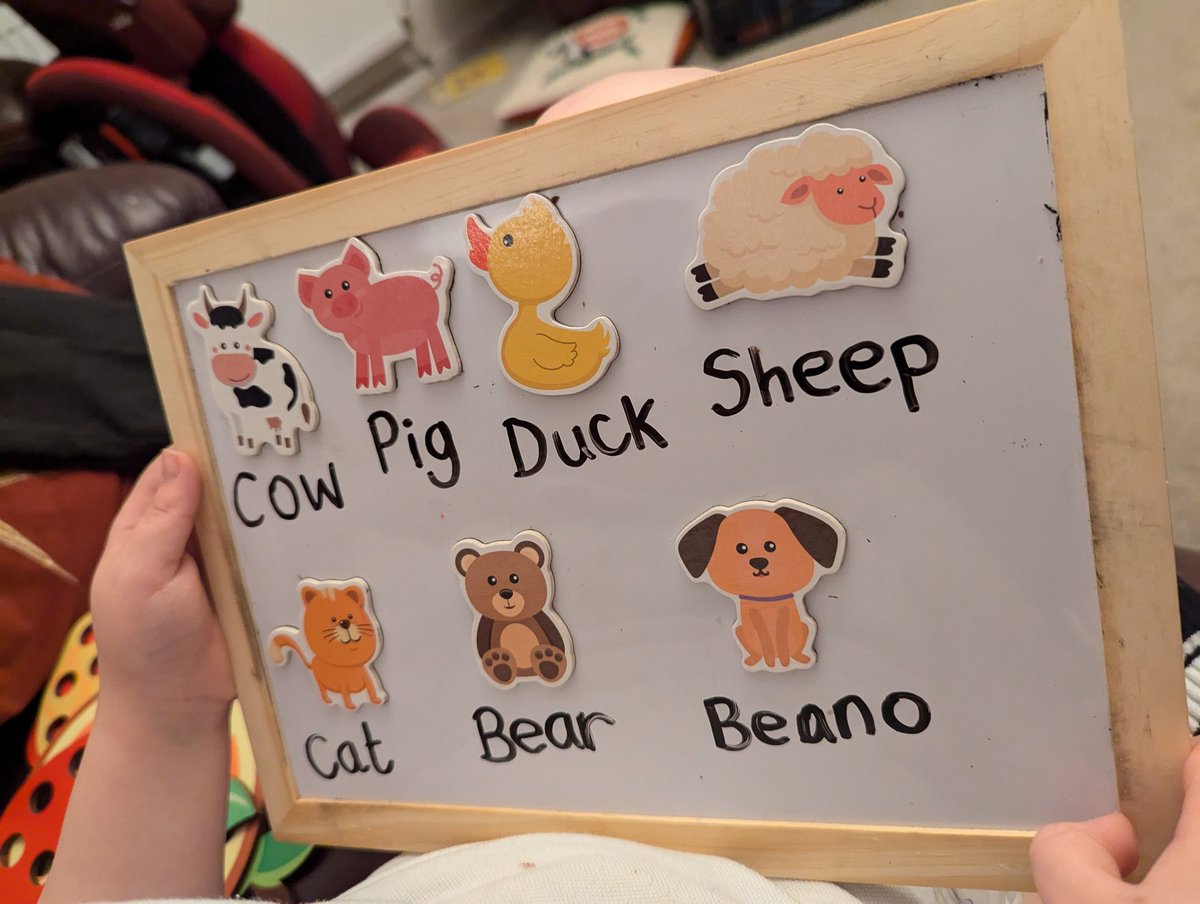 Cowgirl_Em's tweet photo. My boy loves to tell me how to spell the animals... Spot the anomaly? 😅😅
I'm too proud to be mad 🤣🤣🤣
#mumlife #asdparenting #Beano https://t.co/ZbkZusNJSJ