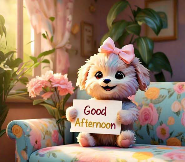 HumoursFamily's tweet image. Good afternoon, everyone! Hope you’re all having a great day so far. The sun’s out, and it feels like the perfect time to take a little break and recharge. What’s everyone up to this afternoon? 😊 #GoodAfternoon #MiddayVibes